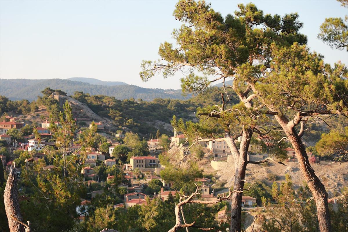 Perlacia Hotel Adatepe Adatepe  Dış mekan fotoğraf